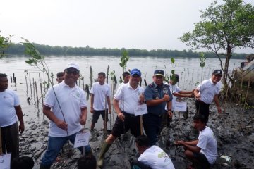 Kemenko Kemaritiman dan Pelindo I tanam mangrove