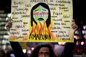 Unjuk rasa terkait kebakaran hutan Amazon