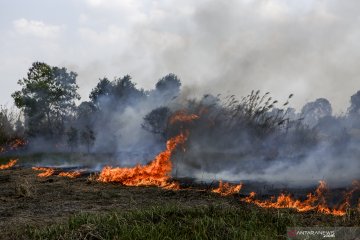 Sebanyak 820 titik api di Indonesia terdeteksi satelit LAPAN