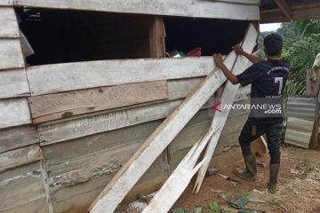 Rumah warga translok di Nagan Raya Aceh rusak diamuk gajah liar