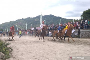 371 Ekor Kuda Ikuti Pacuan Kuda Tradisional Gayo di Takengon