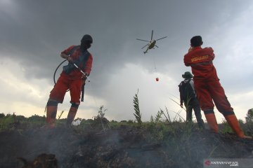 Pemadaman karhutla di Kalimantan Selatan