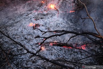 Kebakaran hutan Amazon di Brazil