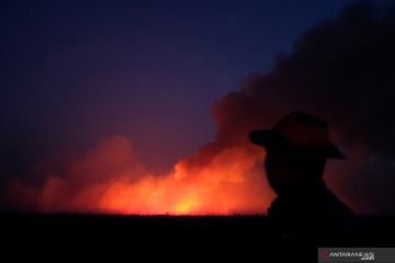 BRAZIL-ENVIRONMENT/WILDFIRES