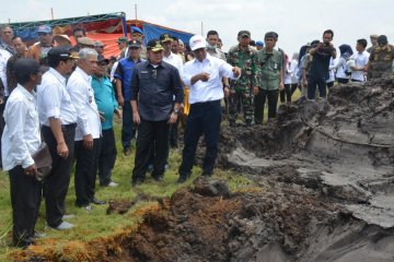 Ogan Komering Ilir kejar target produksi 1,3 juta ton padi