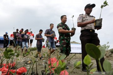 Konservasi tanaman mangrove