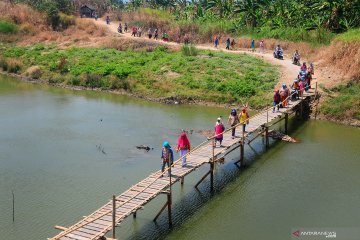 Jembatan kayu alternatif