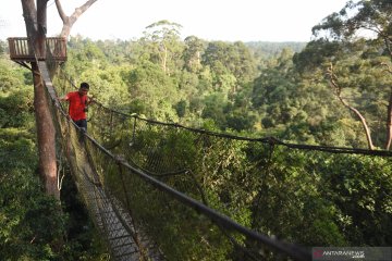 Wisata hutan hujan tropis di Kutai Kartanegara
