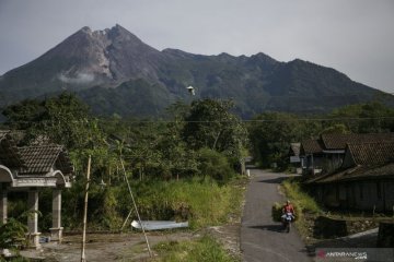 Guguran lava keluar dari Gunung Merapi sejauh 700 meter
