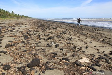 Limbah batu bara cemari pantai