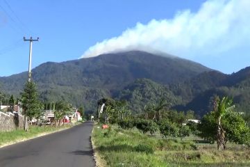 Kebakaran di Taman Nasional  Gunung Ciremai sulit dipadamkan