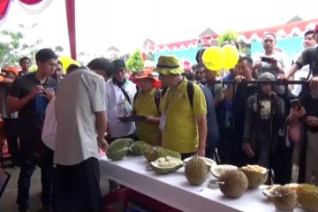 Pemerintah siapkan 200 hektar lahan untuk kembangkan durian lokal