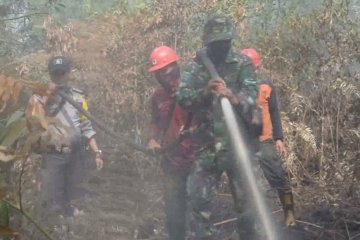 Satgas Karhutla Riau fokus pemadaman di wilayah selatan