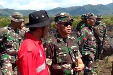 Ratusan hektare lahan gambut di Koltim terbakar, personel TNI disiagakan