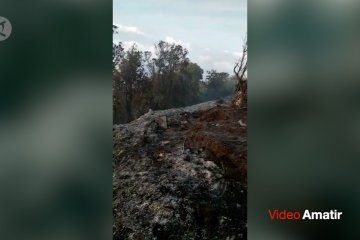 Kebakaran terjadi di puncak Gunung Batukaru Bali