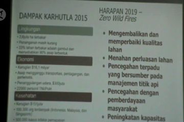 Kepala BNPB ajak semua pihak bekerja sama cegah karhutla