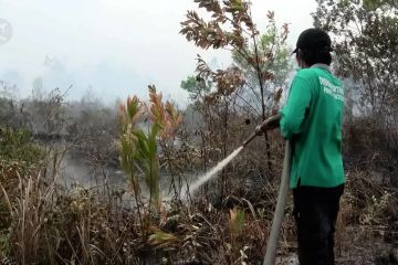 Menkopolhukam: cari & proses pembakar hutan di Kalteng