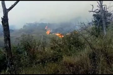 Gunung Ceremai terbakar, 61 pendaki dievakuasi