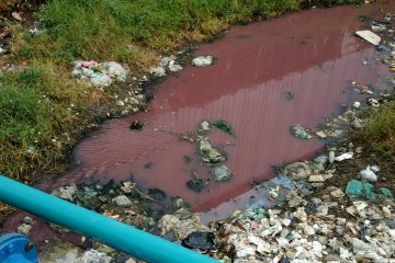 Saluran irigasi di Serang merah tercemar limbah