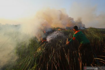 Karhutla dekati permukiman warga