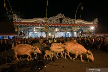 Kirab Suro keraton kasunanan Surakarta hadiningrat