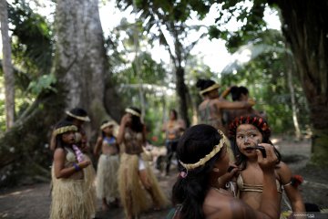 Tujuh negara sepakati pakta perlindungan hutan Amazon