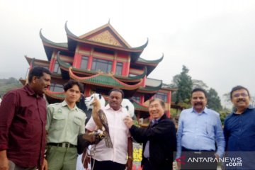 Pengelola Taman Safari diundang bantu bikin kebun binatang di India