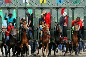 Aceh Tengah terus benahi venue pacuan kuda sukseskan PON