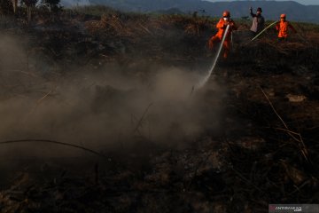 Kebakaran lahan gambut bertambah luas di Kolaka Timur