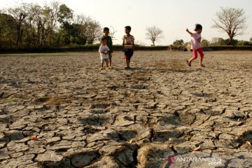 Akibat musim kemarau