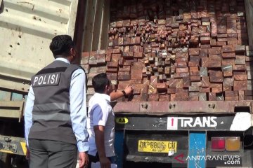 Polisi Surabaya hentikan truk diduga angkut kayu meranti selundupan