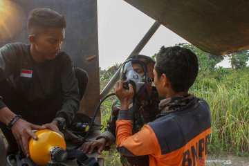 Pemprov Kepri peringatkan masyarakat tidak bakar hutan