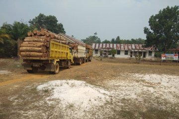 Satgas Pamtas Camar Bulan amankan tiga truk kayu ilegal