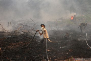 BNPB: 328.724 hektare hutan-lahan terbakar selama Januari--Agustus