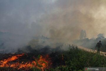 Kebakaran hutan dan lahan masih terjadi di Pekanbaru