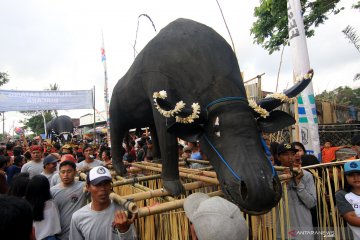 Tradisi Keboan Aliyan