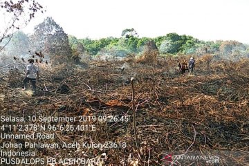 Hujan padamkan kebakaran hutan dan lahan di Aceh Barat
