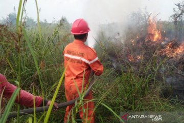 PN Jakarta Selatan kabulkan gugatan karhutla KLHK terhadap PT KU