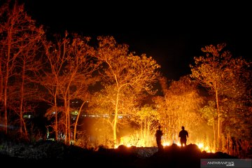 Kebakaran lahan di Gowa