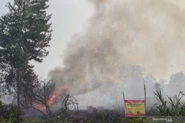 Asap dari tiga wilayah mengalir ke Bintan dan Tanjungpinang