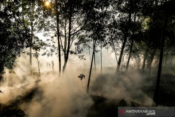 BMKG: 44 "hotspot" terpantau di Sumatera Utara