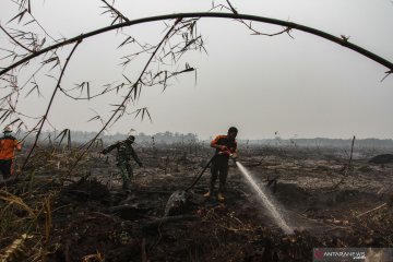 Pemadaman karhutla di Pekanbaru