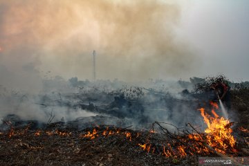 Pemadaman kebakaran lahan gambut di Kampar Riau