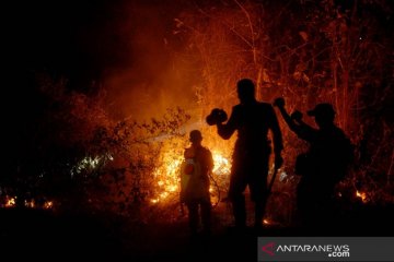 Kebakaran hutan di Gowa