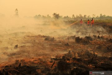 Dansatgas: Jumlah titik api di Jambi meningkat