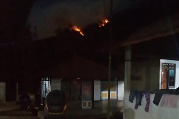 Hutan di lereng Gunung Agung kembali terbakar