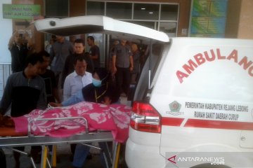 Korban tewas tertimpa pohon di Curup jadi dua orang