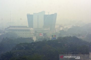 Jarak pandang di Pekanbaru anjlok jadi 700 meter akibat kabut asap