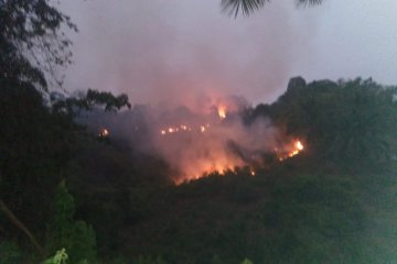 53 hektare hutan di Pesisir Selatan terbakar