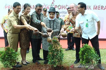 Kurangi polusi Jakarta Apartemen St Moritz tanam Pucuk Merah